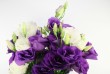 Purple & White Flowers Photo