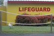 Lifeguard Photo