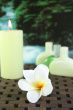 Aromatherapy Oil Bottles With Frangipani Flowers And Rainforest Background Photo
