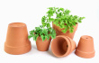 Garden Pots Photo
