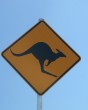 Sign - Kangaroos Photo
