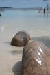 Cairns Esplanade 3 Photo