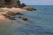 Palm Cove Photo