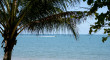 Palm Cove Photo