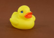 Rubber Duck Photo