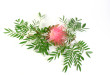Native Flower Photo