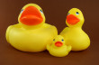 Rubber Duck Photo