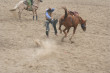 Rodeo Photo