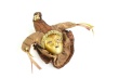 Venetian Mask Photo