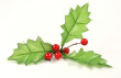 Christmas Holly Photo