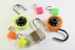 Locks Photo